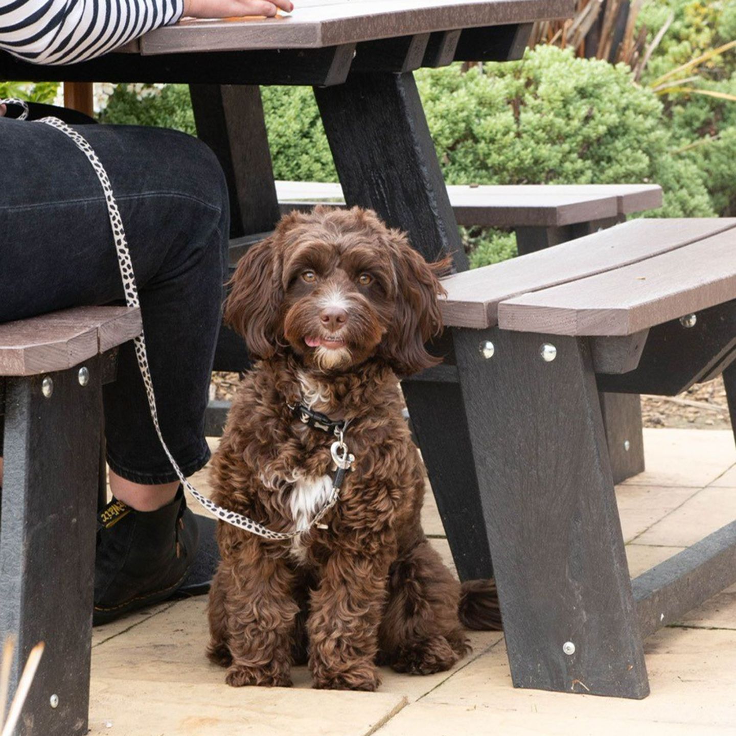 Your local dog friendly pub in Newcastle Upon Tyne